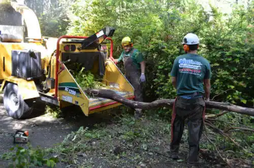 tree services Yulee